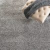 Dollivo Shaggy Carpet & Rug | Plain - Grey |