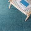 Dollivo Shaggy Carpet & Rug | Plain - Light Green |