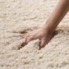 Dollivo Shaggy Carpet & Rug | Plain - Off White |